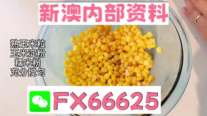 新澳一碼一肖資料大全——全面解析與實(shí)用指南，新澳一碼一肖資料大全,，全面解析與實(shí)用指南手冊