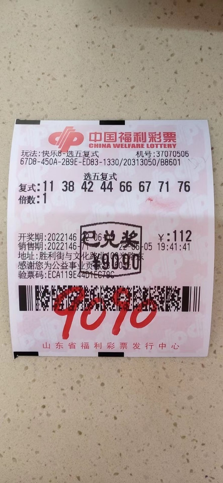 揭秘007期王中王平特一肖,，背后的故事與奧秘，揭秘王中王平特一肖背后的故事與奧秘（第007期）