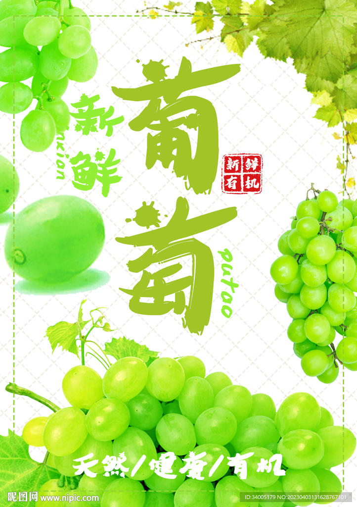王中王葡萄新平特一肖，探尋葡萄產(chǎn)業(yè)的獨(dú)特魅力與未來(lái)前景，葡萄產(chǎn)業(yè)獨(dú)特魅力與未來(lái)前景探索，王中王葡萄新平特一肖的探尋之旅