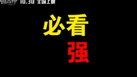 揭秘神秘的數(shù)字組合，探索13661con 王中王一肖背后的故事，揭秘?cái)?shù)字組合背后的故事，王中王一肖的神秘面紗
