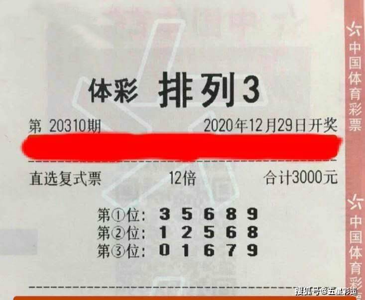 三肖多少倍，揭秘生肖彩票的奧秘，揭秘生肖彩票三肖的倍數(shù)奧秘