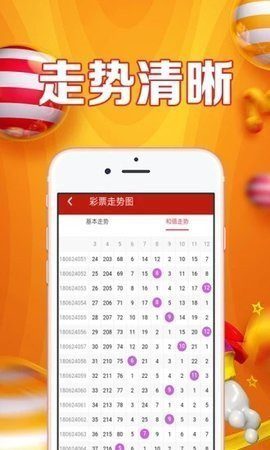 關(guān)于肖碼的奧秘，解讀數(shù)字背后的故事，肖碼背后的數(shù)字奧秘，解讀數(shù)字背后的故事
