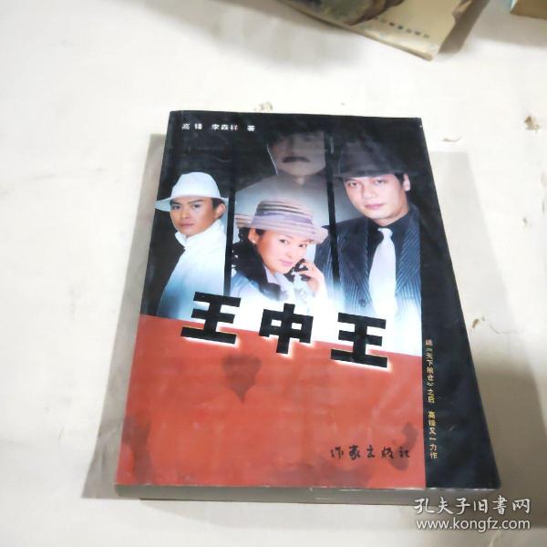 王中王資料一肖中特小說，深度解析與探討，王中王資料一肖中特小說的深度解析與探討