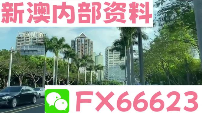 新澳精準(zhǔn)資料免費(fèi)提供，探索深度信息與SEO優(yōu)化策略（305），新澳精準(zhǔn)資料免費(fèi)分享，深度信息與SEO優(yōu)化策略探索（305期專刊）