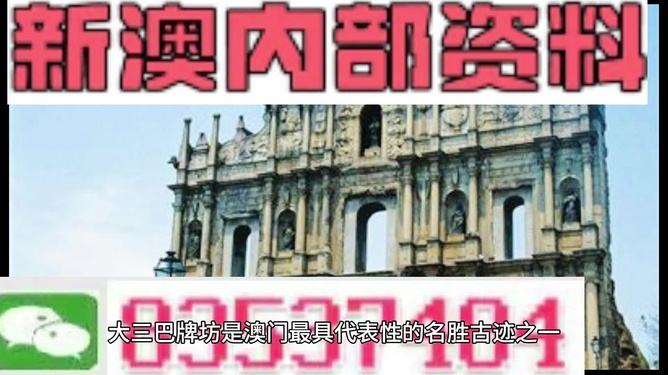 2025新澳正版資料精準(zhǔn)解析，2025新澳正版資料精準(zhǔn)解析手冊
