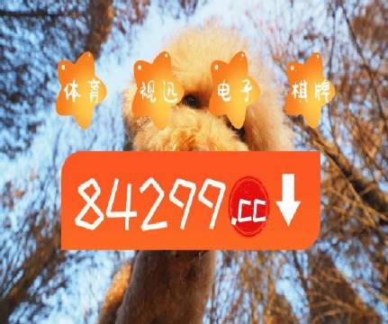 澳門天天彩最快最準資料解析與探索，澳門天天彩精準資料解析與探索之旅