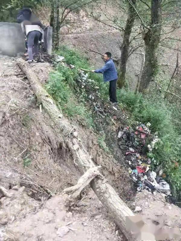 揭秘劉伯溫平碼一肖，探尋背后的秘密與傳奇故事（第05期），揭秘劉伯溫平碼一肖背后的秘密與傳奇故事（第5期詳解）
