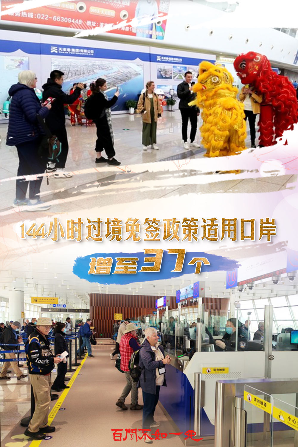 王中王，一肖一特在中央視的獨特魅力，王中王，中央視獨特魅力下的生肖傳奇