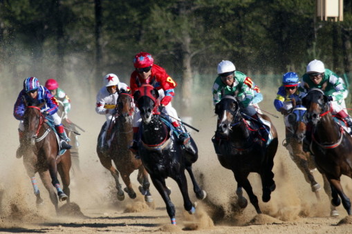 揭秘劉伯溫三肖選一肖首頁背后的奧秘，劉伯溫三肖選一肖背后的秘密揭曉
