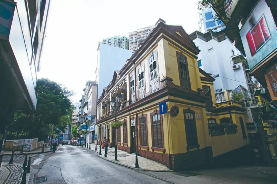 澳門(mén)一肖必開(kāi)一肖，揭秘背后的秘密與策略，澳門(mén)生肖彩票背后的秘密與策略揭秘