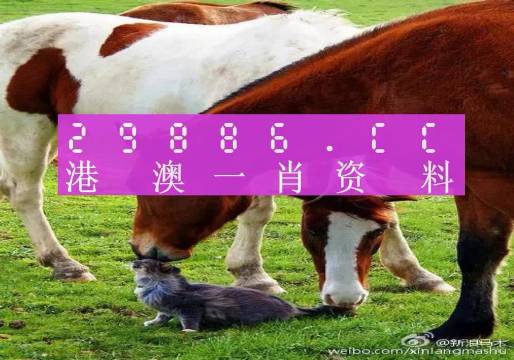 新奧門一肖一碼，揭秘精準(zhǔn)預(yù)測的秘密，揭秘新澳門一肖一碼精準(zhǔn)預(yù)測的秘密