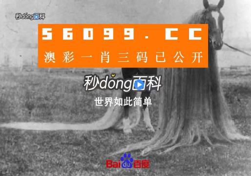 澳門(mén)一肖一碼一必中一肖舟山，揭秘彩票背后的秘密與策略，揭秘彩票背后的秘密與策略，澳門(mén)一肖一碼一必中一肖舟山探討彩票投注技巧