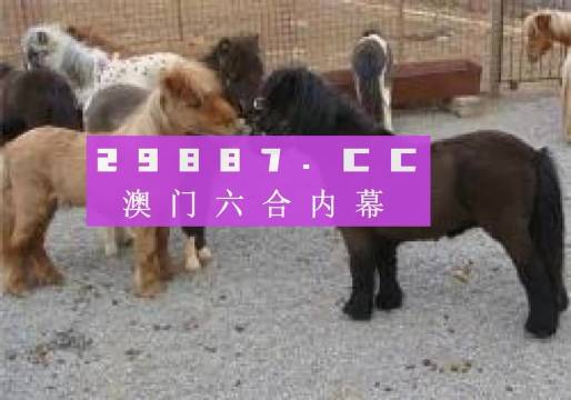 馬會王中王平特一肖論壇，深度探討與SEO優(yōu)化策略，馬會王中王平特一肖論壇，深度探討SEO優(yōu)化策略