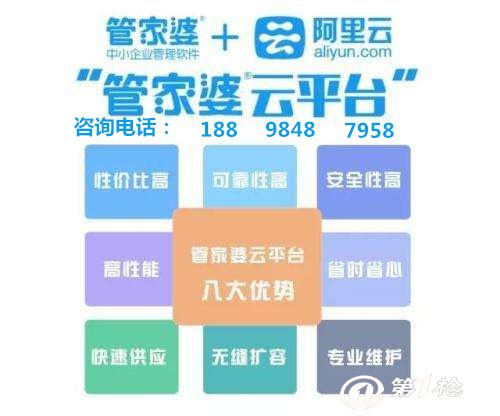 管家婆與一肖王中王，揭秘背后的神秘面紗，揭秘管家婆與一肖王中王的神秘面紗