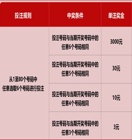 新澳門(mén)六開(kāi)彩天天開(kāi)獎(jiǎng)結(jié)果，探索彩票背后的秘密，澳門(mén)六開(kāi)彩揭秘，每日開(kāi)獎(jiǎng)背后的秘密探索
