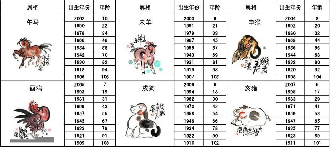 管家肖的生肖動物，探索與解析，管家肖生肖動物，深度探索與解析